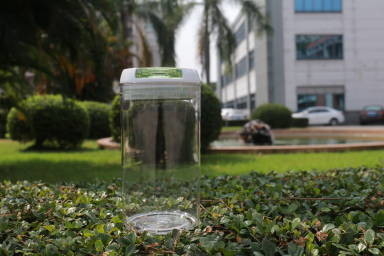 Το FDA ενέκρινε το ανακυκλώσιμο πλαστικό εμπορευματοκιβώτιο με το κλειδώσιμο καπάκι BPA ελεύθερο